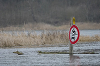 Alles unter Wasser an der Fähranlegestelle