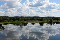 Spiegelung in der Oder