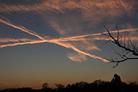 Flugbahnen am Himmel über der Oder